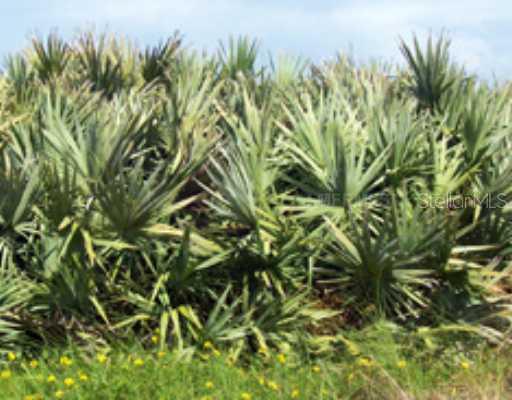 N Biscayne Dr., North Port, FL 34291