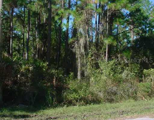[Address Hidden by Seller], Port Charlotte, FL 33981