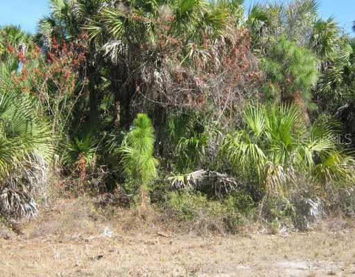 Centro Ave., North Port, FL 34288