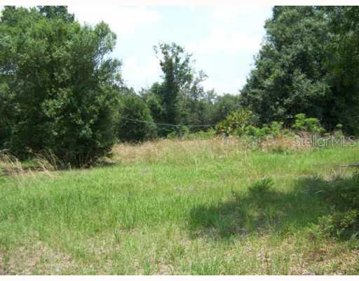 2424 NW Haile Dean Rd., Arcadia, FL 34266