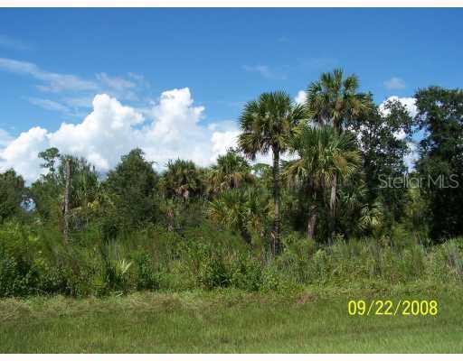 11970 SW Darcy Dr., Arcadia, FL 34269