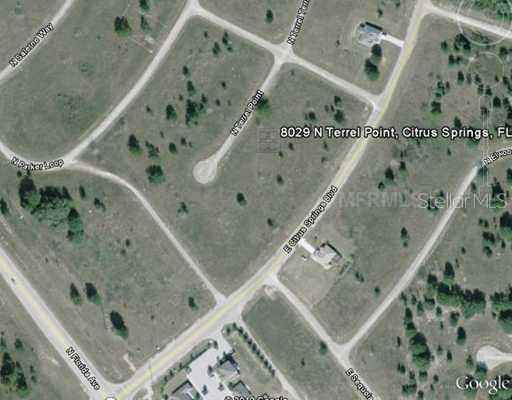 8029 N Terrel Pt, Citrus Springs, FL 34434