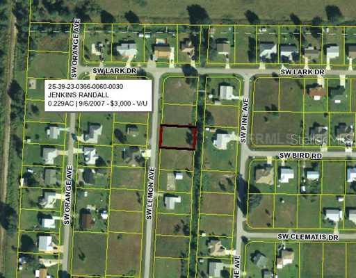 11336 SW Lemon Ave., Arcadia, FL 34269