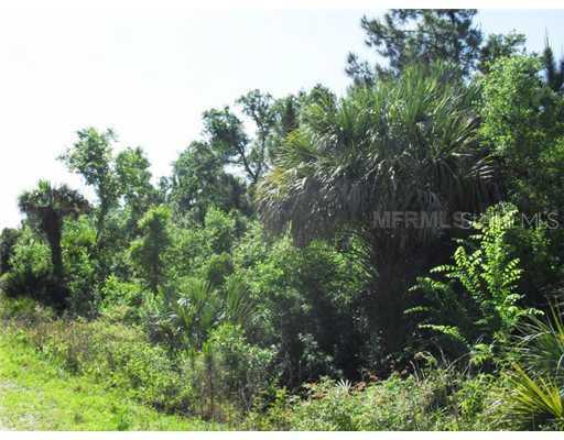 2039 SW Golden Glade Ave., Arcadia, FL 34266