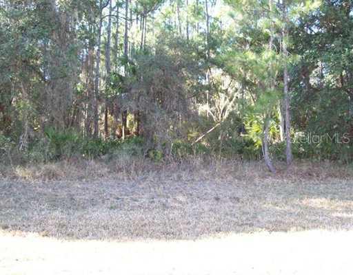 Pitomba St., North Port, FL 34286
