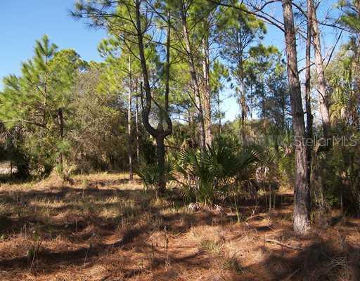 Billberry St., North Port, FL 34288