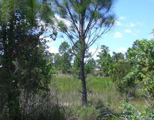 8173 Swiss Blvd., Punta Gorda, FL 33982