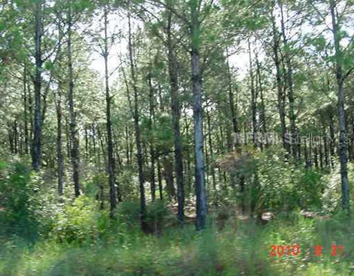 5306 SE Stallings Ter., Arcadia, FL 34266