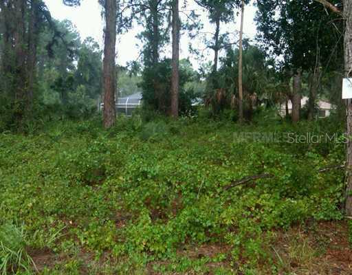 Lady Slipper Ave., North Port, FL 34291