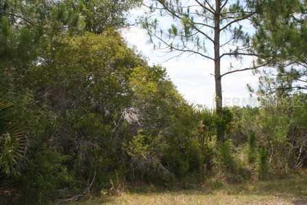 295 Friendly St., Port Charlotte, FL 33953