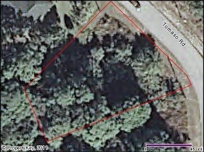 Tomaso Rd., North Port, FL 34287