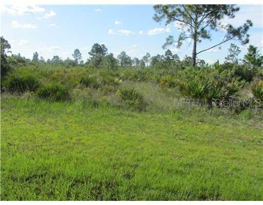 17600 Wood Path Ct., Punta Gorda, FL 33982
