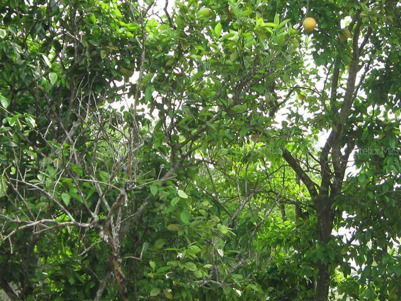 Maverick St, North Port, FL 34288