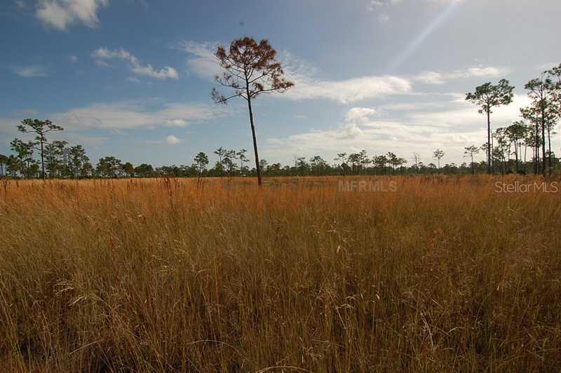 30106 Bermont Rd., Punta Gorda, FL 33982