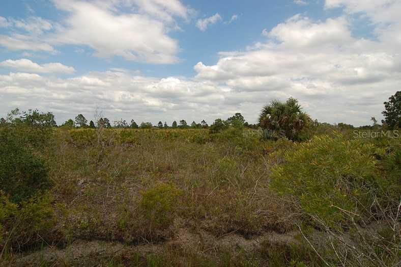 50404 Bermont Rd., Punta Gorda, FL 33982