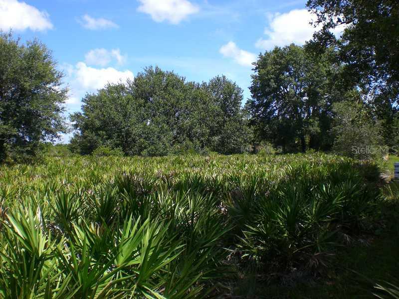 50054 Bermont Rd., Punta Gorda, FL 33982