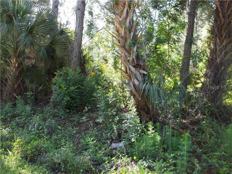 Kamsler Avenue, North Port, FL 34286