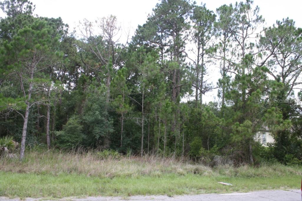 Lot #12 Tepee Ave., North Port, FL 34291