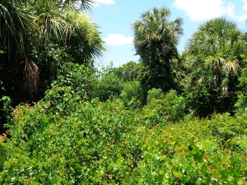 New London St., North Port, FL 34288