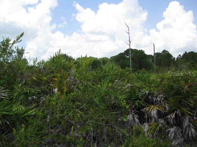 5603 Veracruz Ter., Port Charlotte, FL 33981