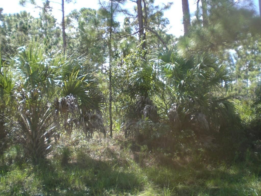 Pascal Ave., North Port, FL 34286