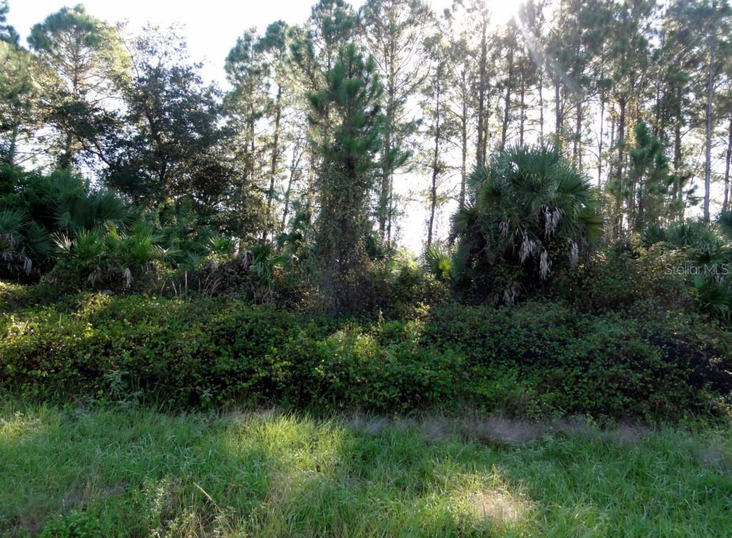 Lot 35 Grandview Dr., North Port, FL 34288
