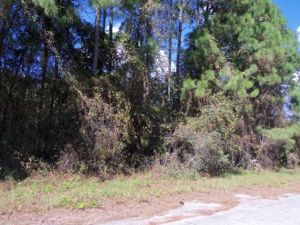 Apricot St., North Port, FL 34288