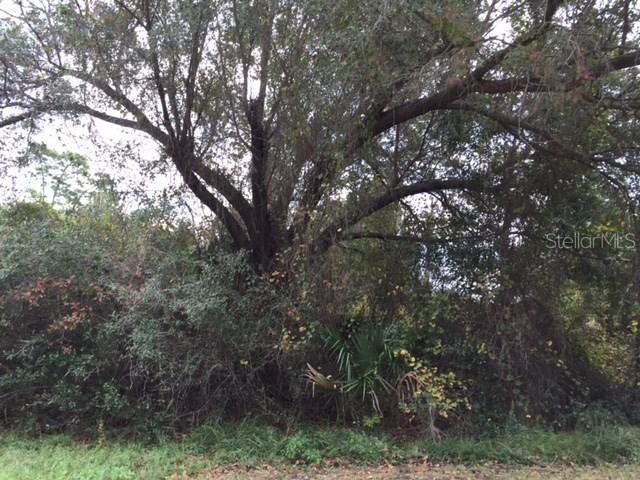 Gilbert St., North Port, FL 34288