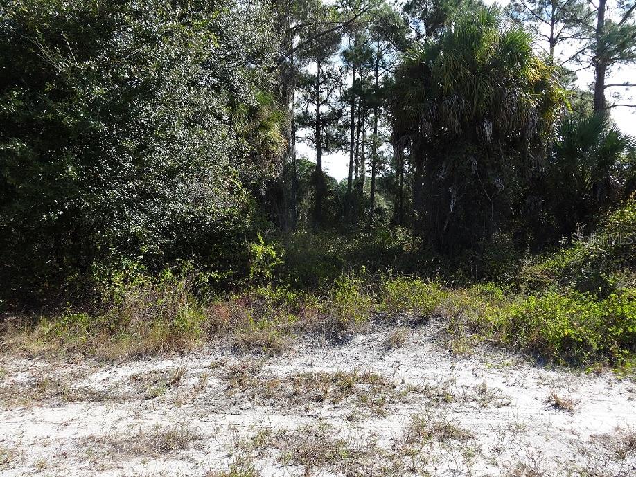 Lot 6 Sadnet Ln., North Port, FL 34286