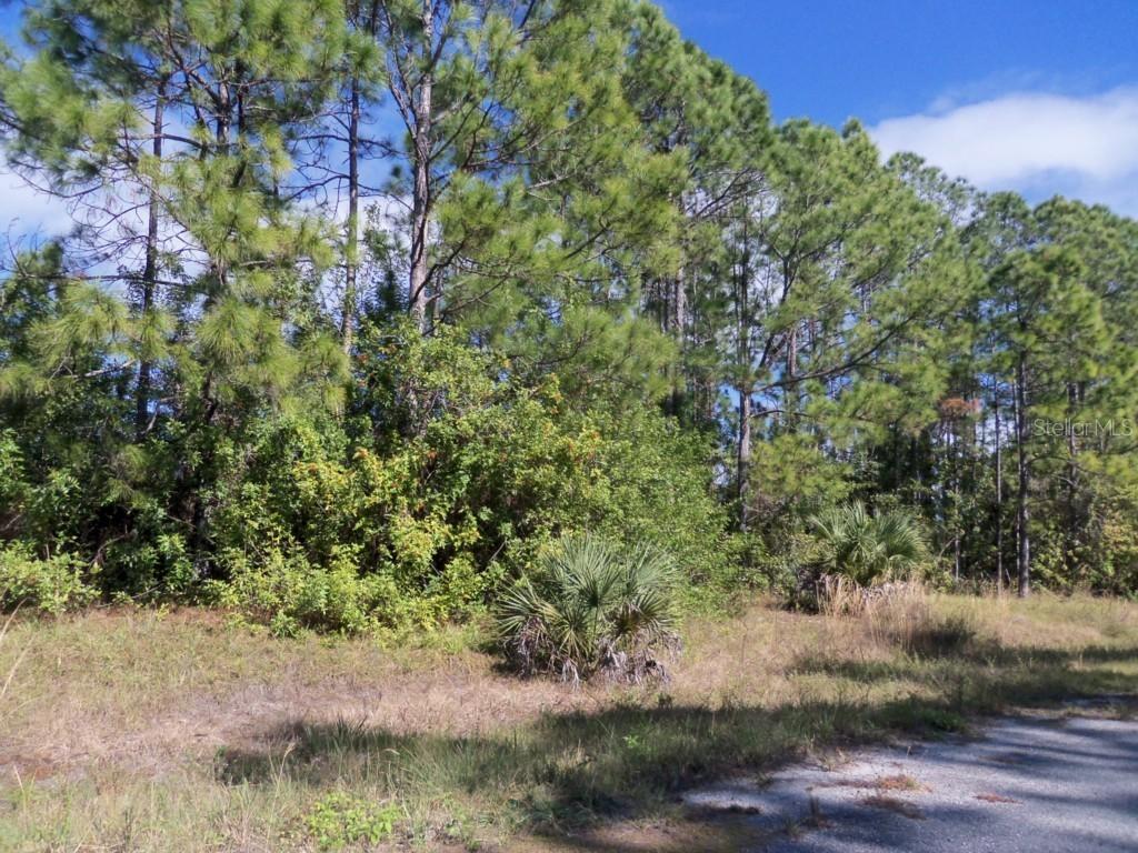 Farview Dr., North Port, FL 34288