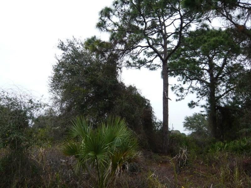 Lot # 20 Selover Rd., North Port, FL 34287