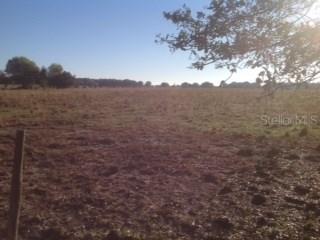 NW Jerry Ter., Arcadia, FL 34266