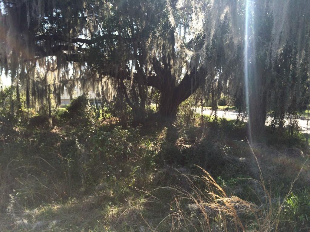 Washington St., Arcadia, FL 34266