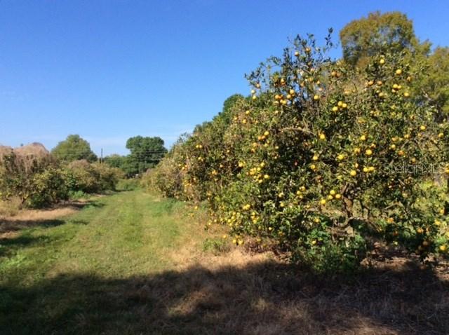 2491 SW Stroud St., Arcadia, FL 34266