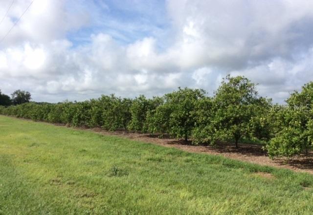 3470 NW Co Rd 661a, Arcadia, FL 34266