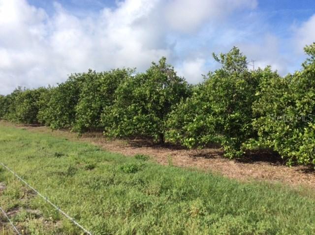 3327 NW Co Rd 661a, Arcadia, FL 34266