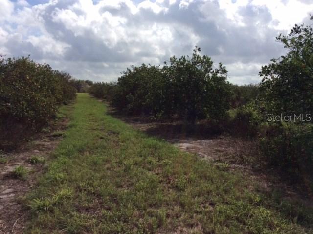 NW Co Rd 661a, Arcadia, FL 34266