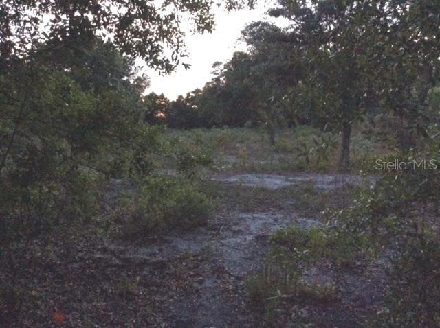 4951 SE Oats Ave., Arcadia, FL 34266