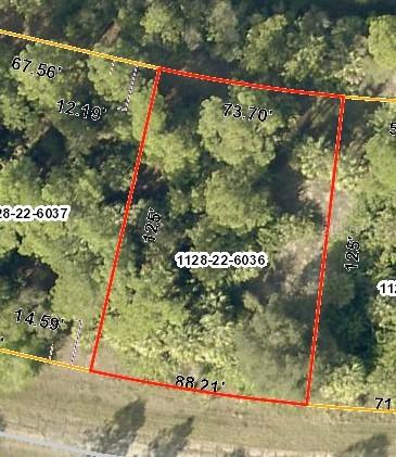 Crimsonglory Rd., North Port, FL 34288