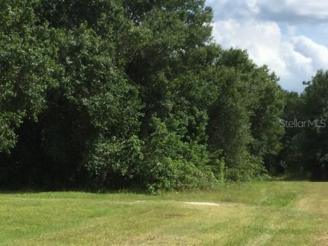 E Charles St., Arcadia, FL 34266