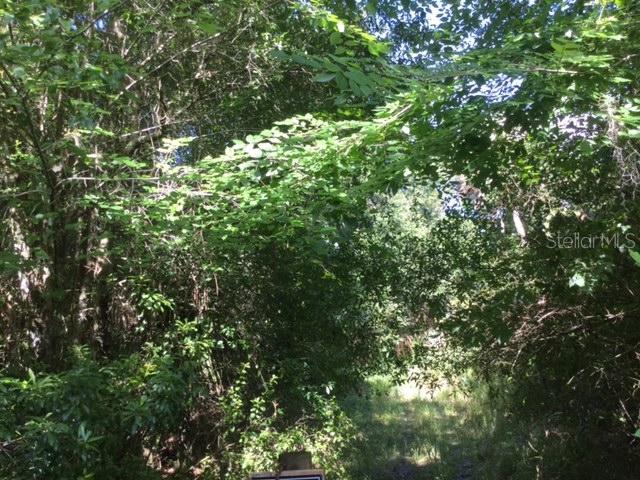 River Ridge Ave., Arcadia, FL 34266