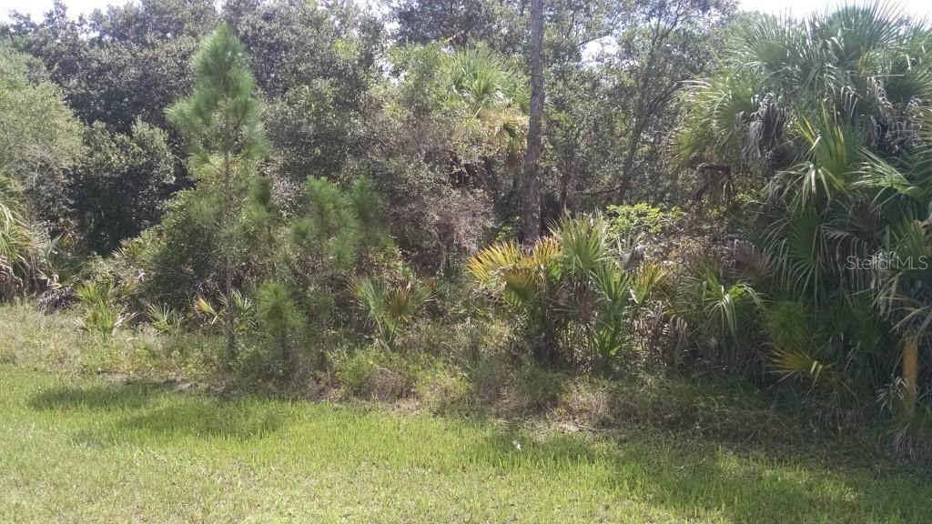 1284 Shake St, Port Charlotte, FL 33953