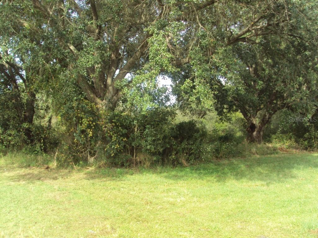 SW Hillsborough Ave., Arcadia, FL 34266