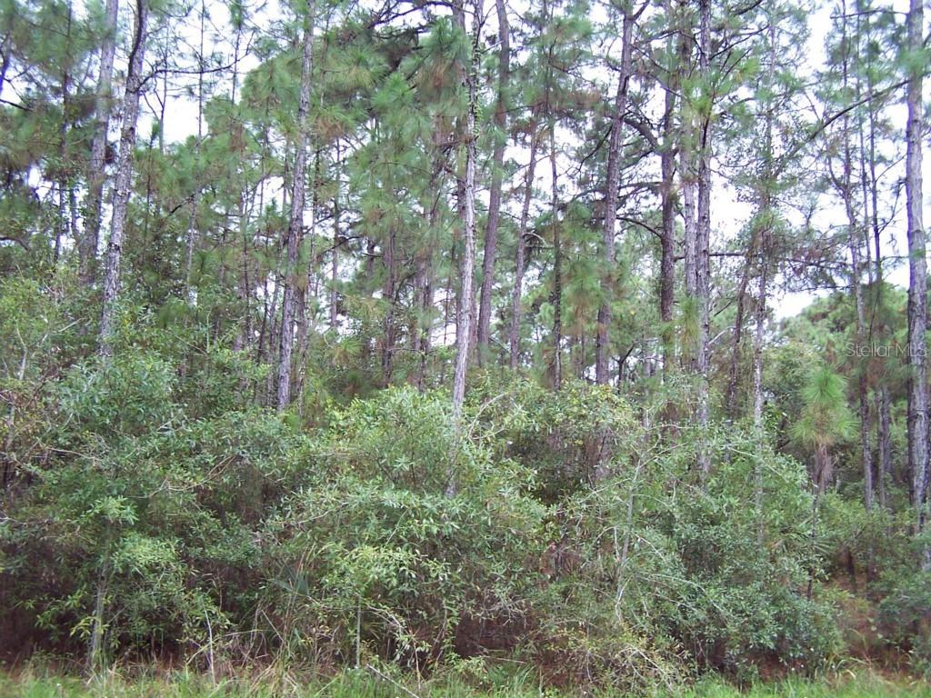 Kamsler Ave., North Port, FL 34286