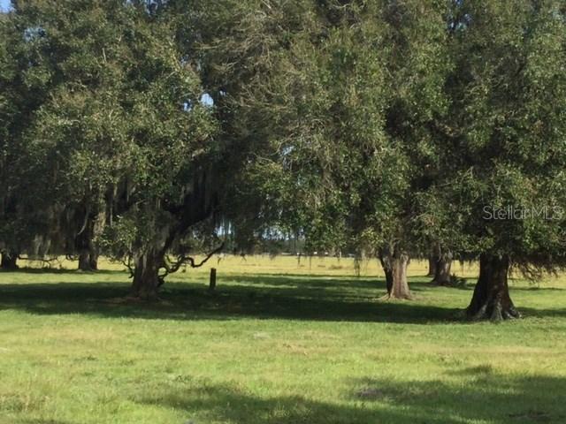 6306 SW Carlton Ave., Arcadia, FL 34266