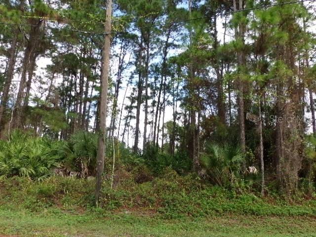Eldron Ave., North Port, FL 34286