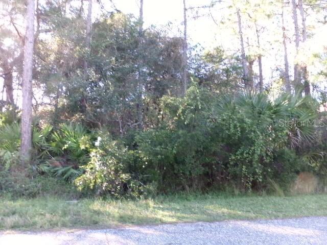 Parrot St., North Port, FL 34286