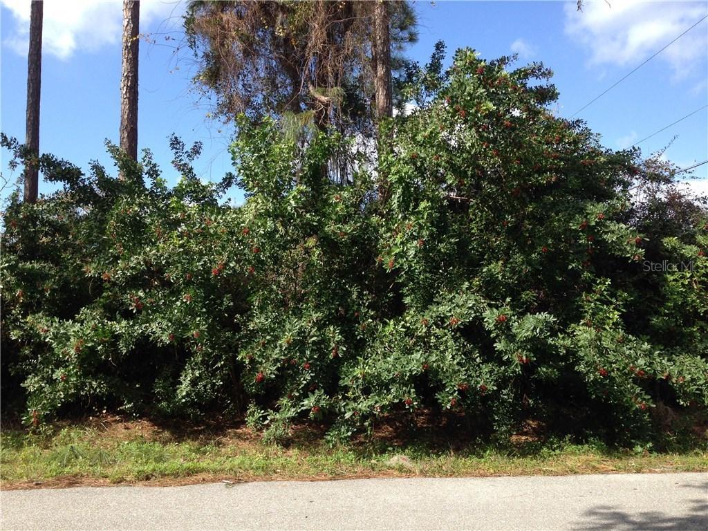 3457 Norwick St, Port Charlotte, FL 33952