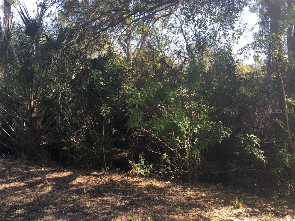 13160 Banyan Dr., Punta Gorda, FL 33955