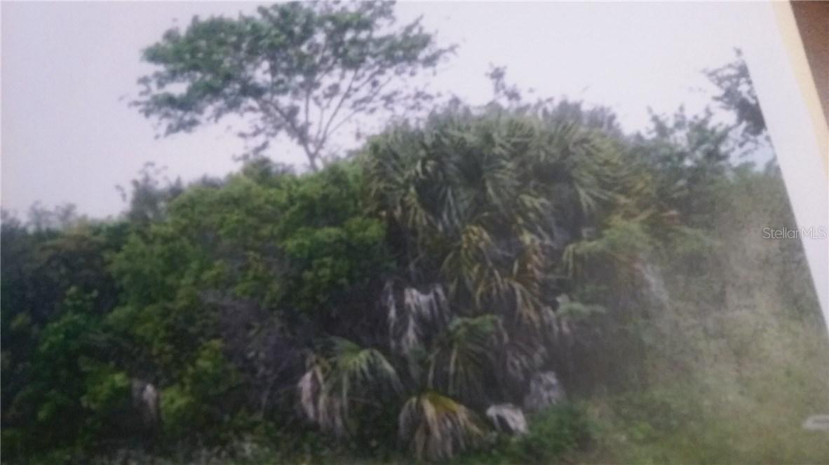 15369 Lakeland Cir., Port Charlotte, FL 33981